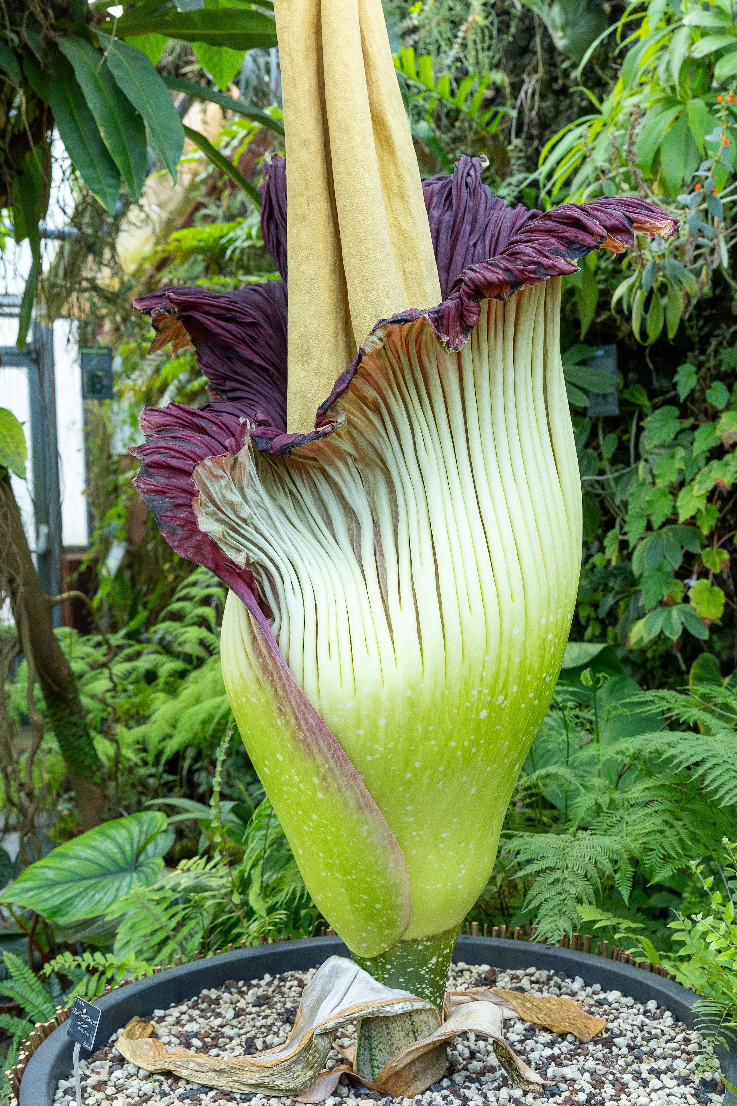 Jean‑Marie Pelt Botanical Garden